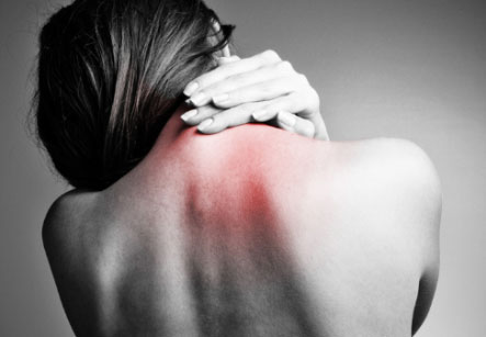 Physiotherapy in Calgary for Lower Back Pain - Anatomy